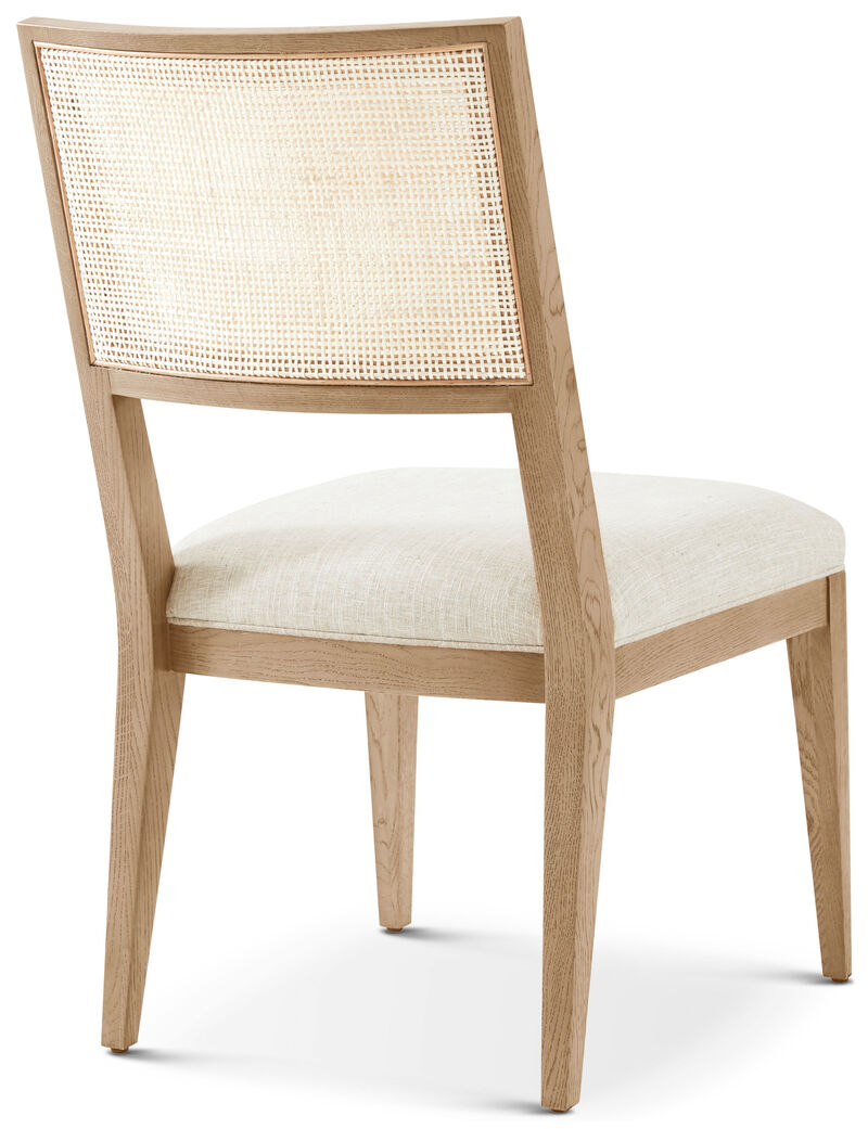 Catalina Dining Side Chair in Earth image number 1